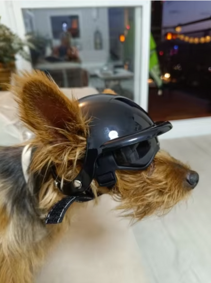 Casque de moto/vélo pour chien